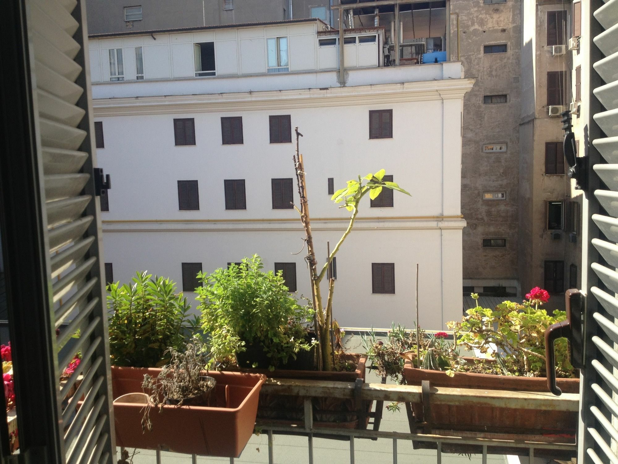Roma Termini Inn 외부 사진